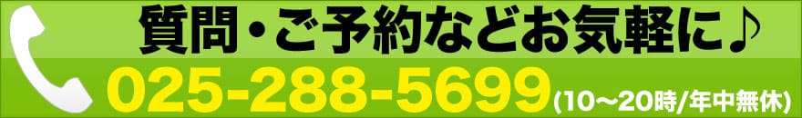 iPhone3G/3GS 修理を新潟駅でお困りでしたら、当店へお電話下さい！新潟で最安値のiPhone3G/3GS 修理です。